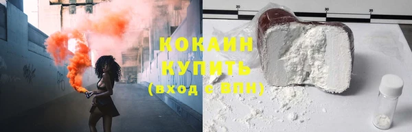 mdpv Бородино