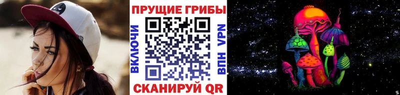 нарко площадка состав  Энем  Псилоцибиновые грибы ЛСД 